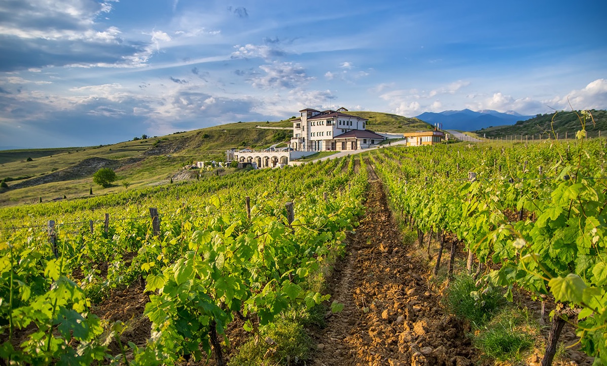 Melnik Winery